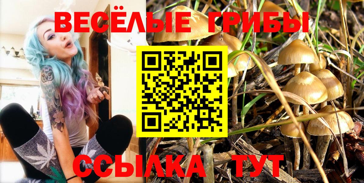 Россия  Псилоцибиновые грибы Psilocybine cubensis  наркотики  Псилоцибиновые грибы ЛСД  Вход с VPN 