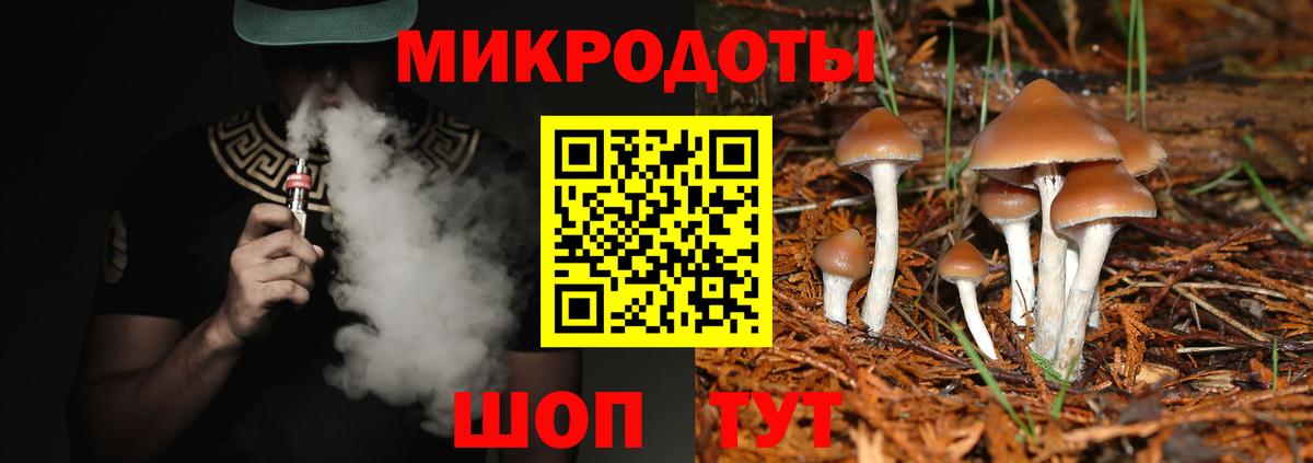 Галлюциногенные грибы Psilocybine cubensis Россия
